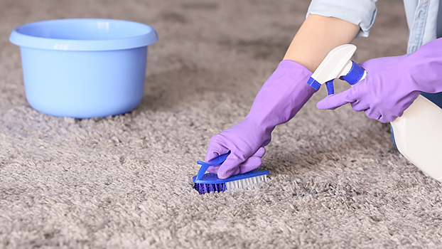Как почистить ковер в домашних условиях - эффективные средства и методы